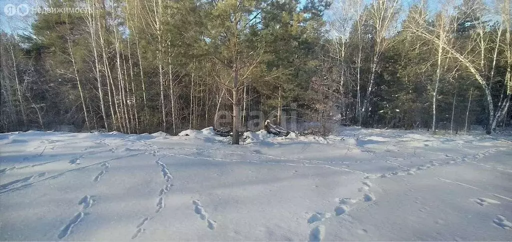 Участок в Бердск, СНТ Родник 2, 1-я улица (50 м) - Фото 0