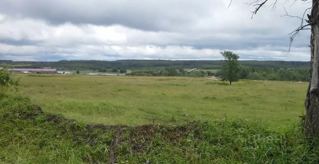 Участок в Нижегородская область, Богородский район, д. Инютино ул. ... - Фото 1