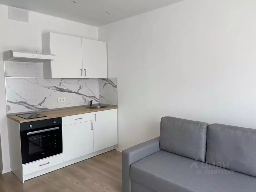 Студия Московская область, Красногорск городской округ, пос. ... - Фото 2