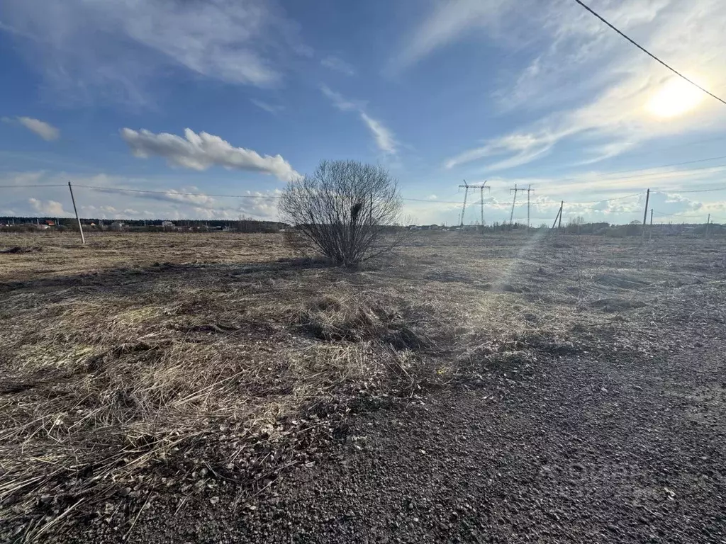 Участок в Московская область, Богородский городской округ, Черновские ... - Фото 1