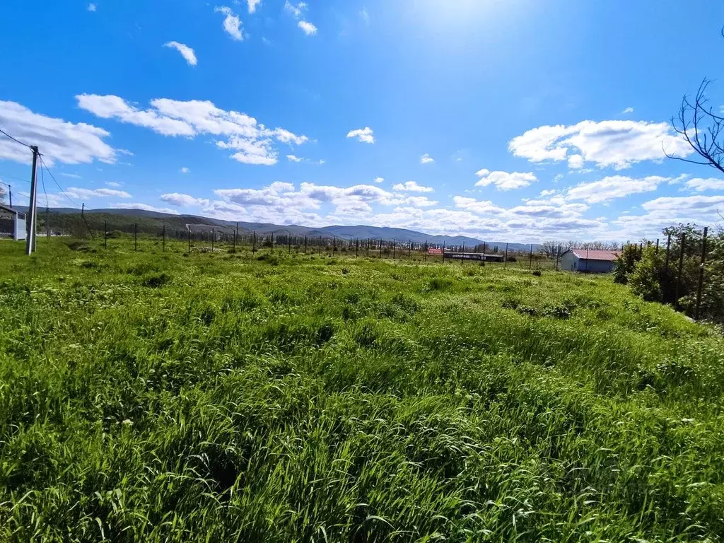 Участок в Краснодарский край, Новороссийск городской округ, ... - Фото 1