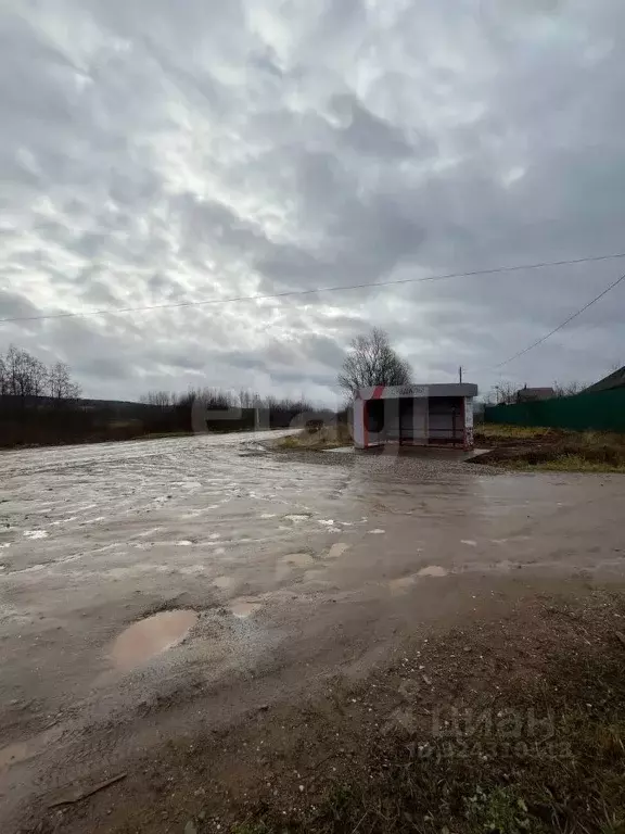 Участок в Пермский край, Пермский муниципальный округ, д. Горшки ул. ... - Фото 2