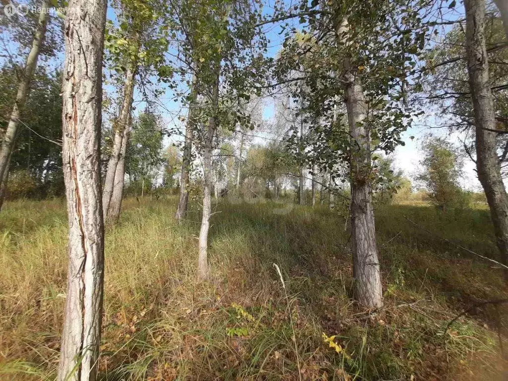 Участок в село Борки, Мехряковская улица (49 м) - Фото 0