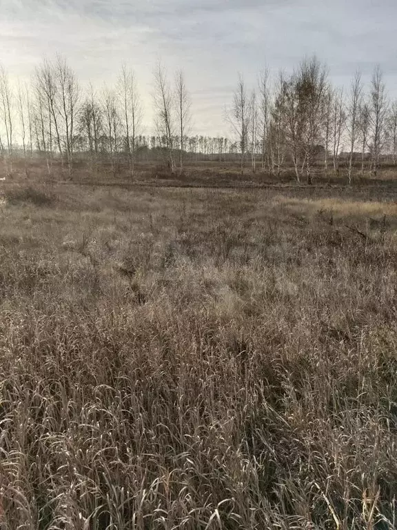 Участок 6,6 сот. (ИЖС) - Фото 0