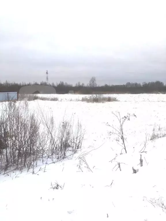 Участок в Тюменская область, Тюменский район, с. Каменка  (7.03 сот.) - Фото 1