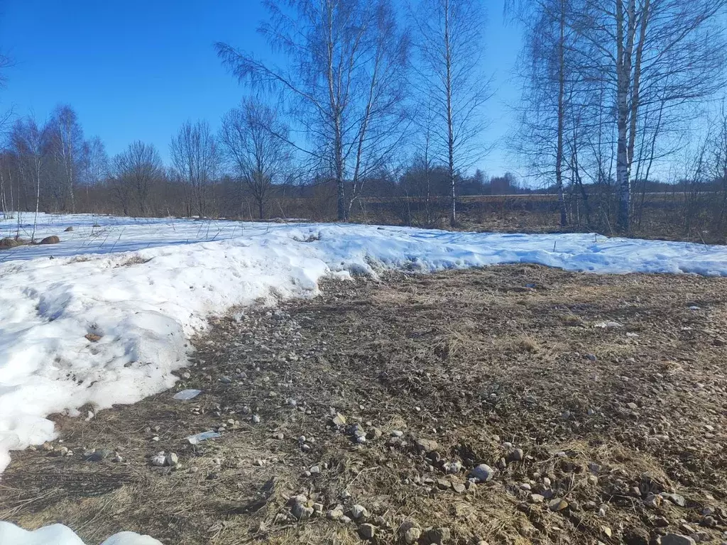 Участок в Московская область, Лотошино муниципальный округ, д. ... - Фото 1