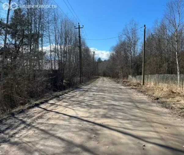 Участок в Запорожское сельское поселение (24 м) - Фото 2