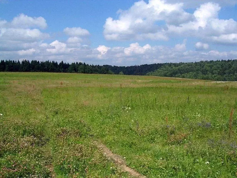 Участок в Свердловская область, Екатеринбург ул. Бориса Штоколова ... - Фото 1