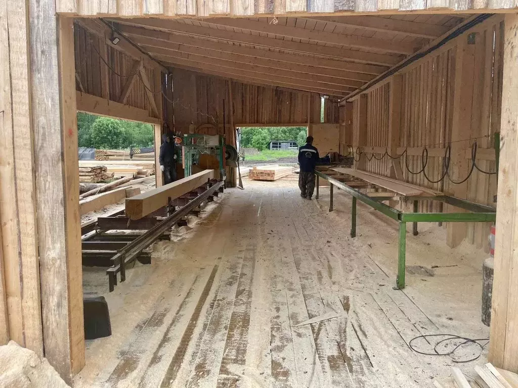 Производственное помещение в Новгородская область, Любытинский район, ... - Фото 2