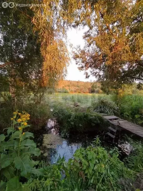 Участок в Новосибирск, садоводческое некоммерческое товарищество Маяк, ... - Фото 1
