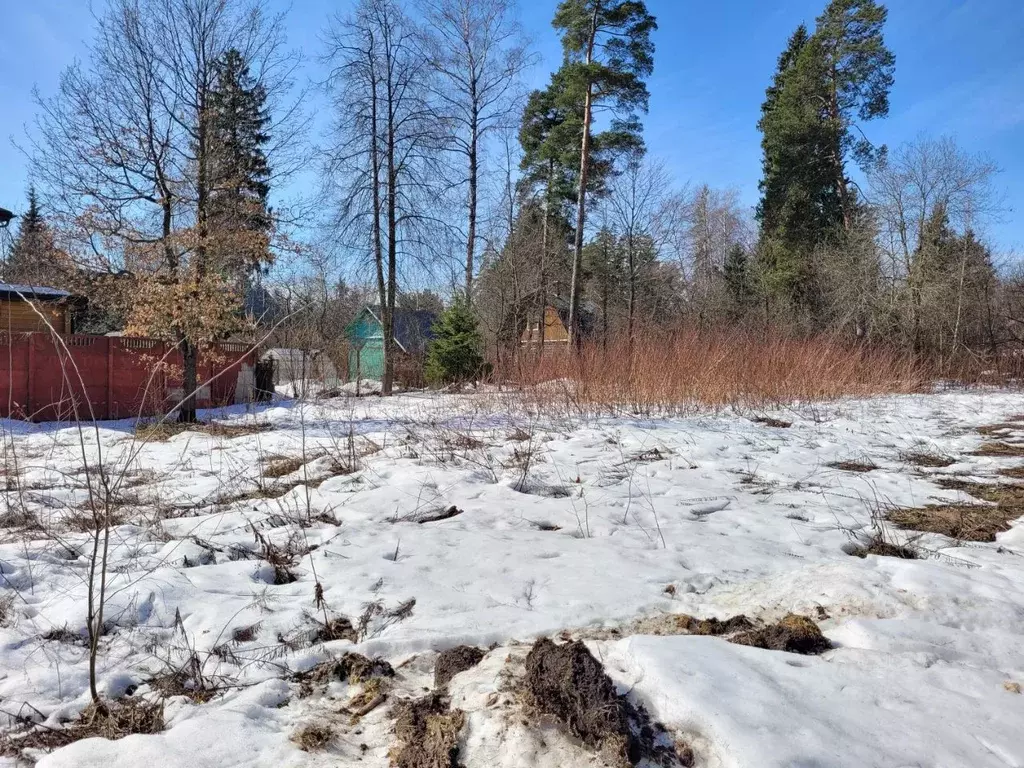 Участок в Московская область, Королев Первомайский мкр, ... - Фото 2