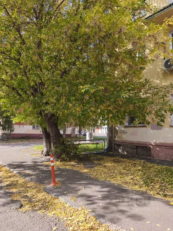 3-к кв. Красноярский край, Красноярск ул. Юности, 27 (57.0 м) - Фото 2