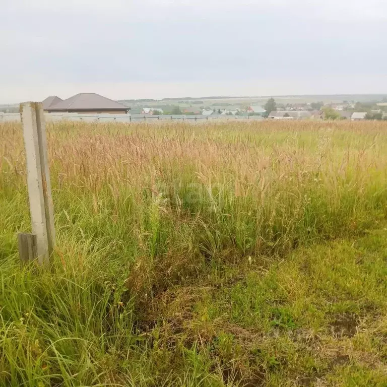 Участок в Мордовия, Лямбирский район, с. Аксеново  (15.0 сот.) - Фото 1