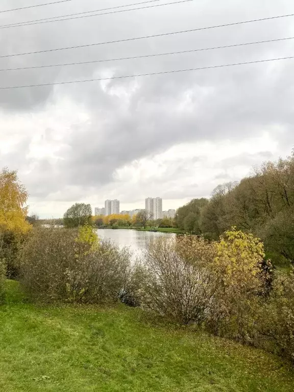 2-к кв. Москва ул. Адмирала Лазарева, 63к1 (72.0 м) - Фото 2