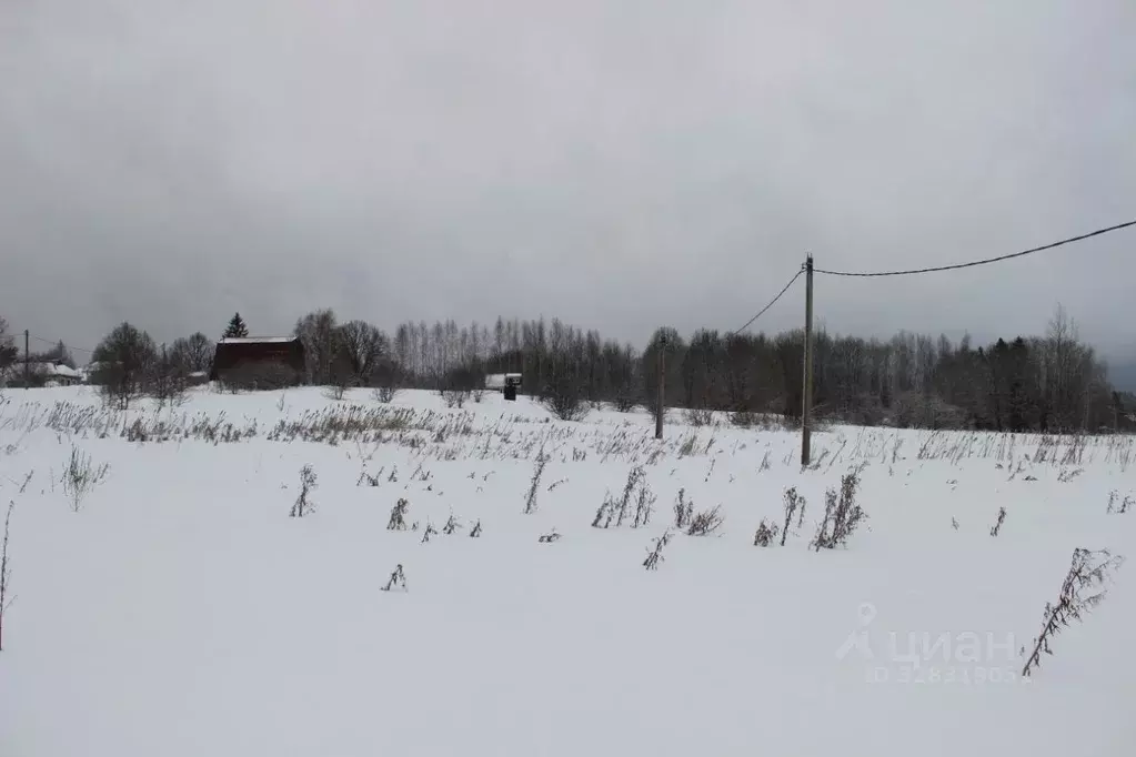 Участок в Московская область, Шаховская муниципальный округ, д. ... - Фото 2