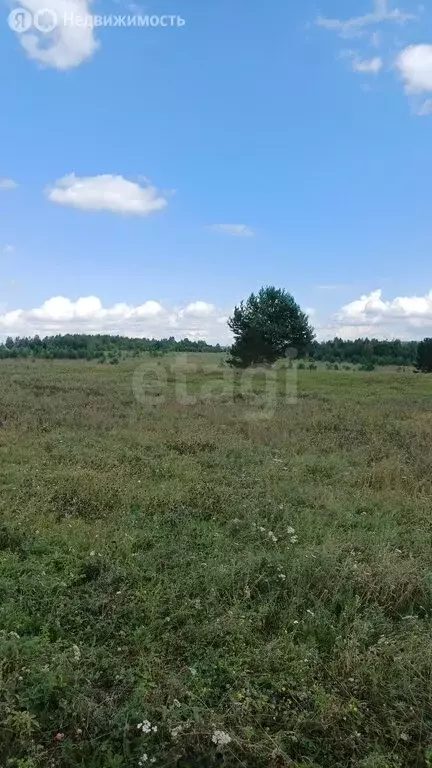 Участок в Иркутский муниципальный округ, поле Черепанова (22 м) - Фото 2