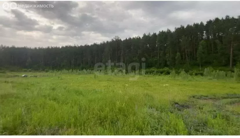 Участок в Майминский район, село Манжерок (10 м) - Фото 1