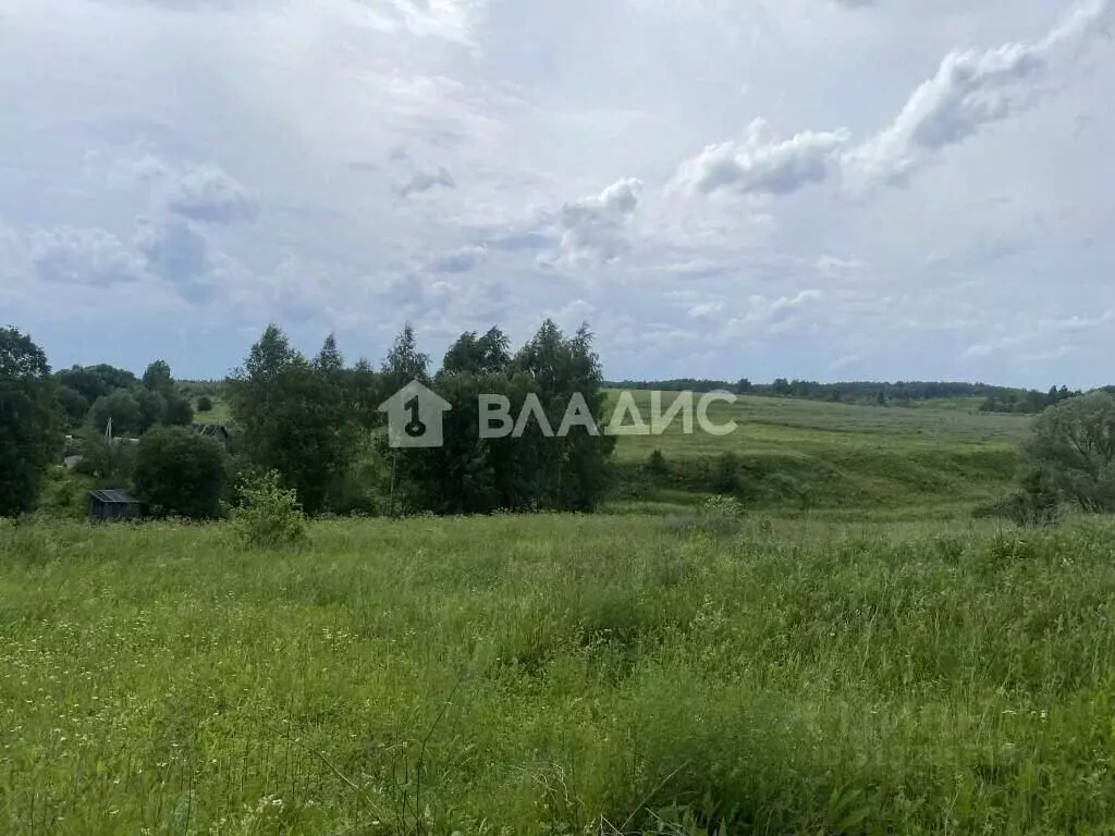 Участок в Владимирская область, Владимир с. Мосино,  (10.0 сот.) - Фото 0