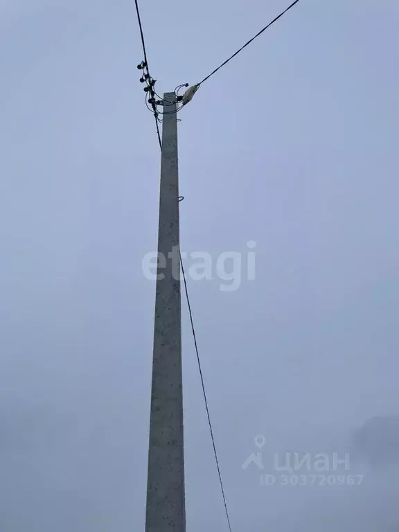 Участок в Владимирская область, Муромский район, с. Ковардицы ул. ... - Фото 1