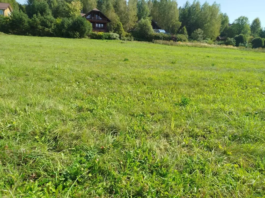 Дом в Московская область, Одинцовский городской округ, Жемчужина СНТ ... - Фото 0