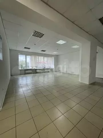 Сдам помещение свободного назначения, 55.9 м - Фото 0