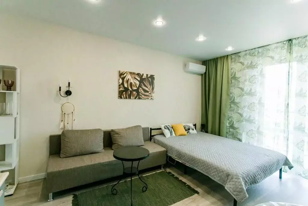1-к кв. Краснодарский край, Сочи ул. Искры, 88к2 (27.0 м) - Фото 0
