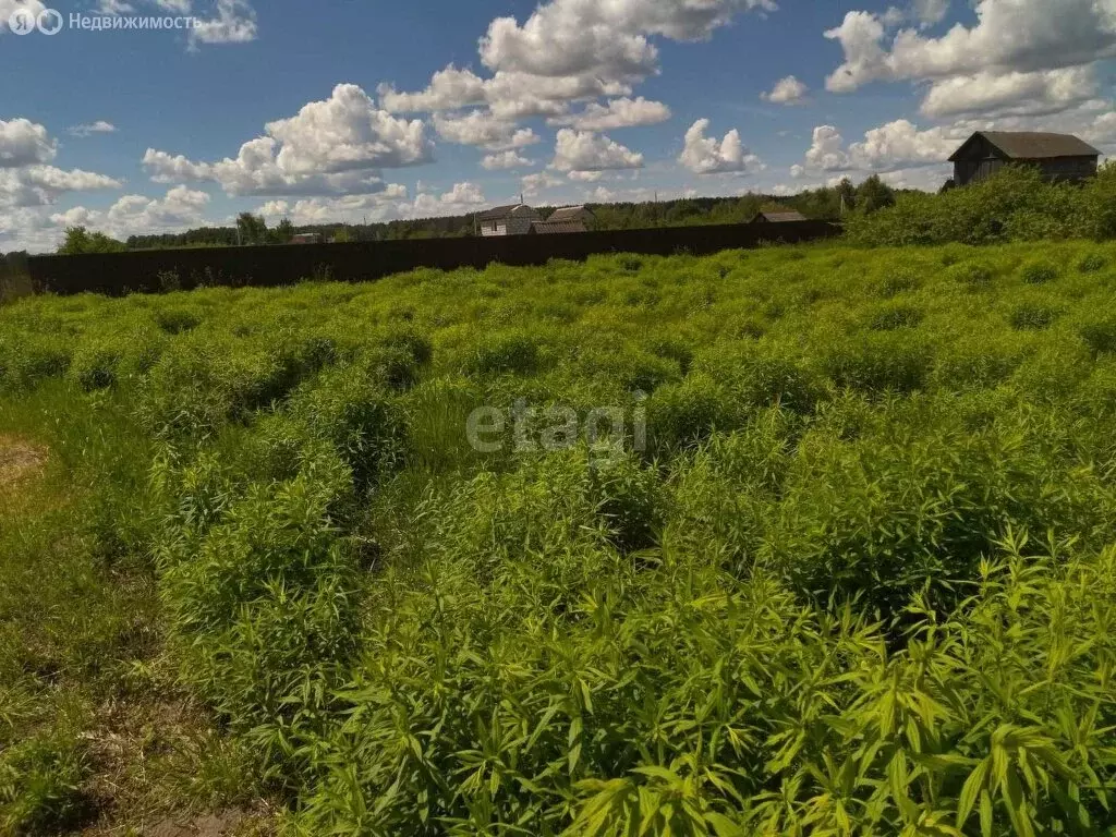 Участок в посёлок Новые Дарковичи, СДТ Болва (6.5 м) - Фото 1