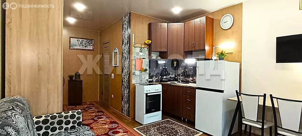 Квартира-студия: Бердск, Лунная улица, 30 (20.8 м) - Фото 1