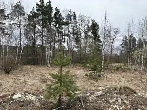 Участок в Московская область, Воскресенск городской округ, Хорлово пгт ... - Фото 1