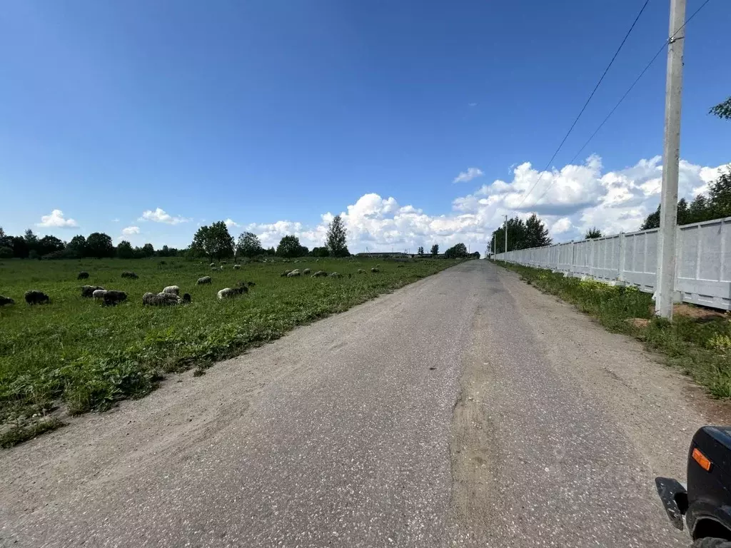 Участок в Владимирская область, Александровский район, Андреевское ... - Фото 1