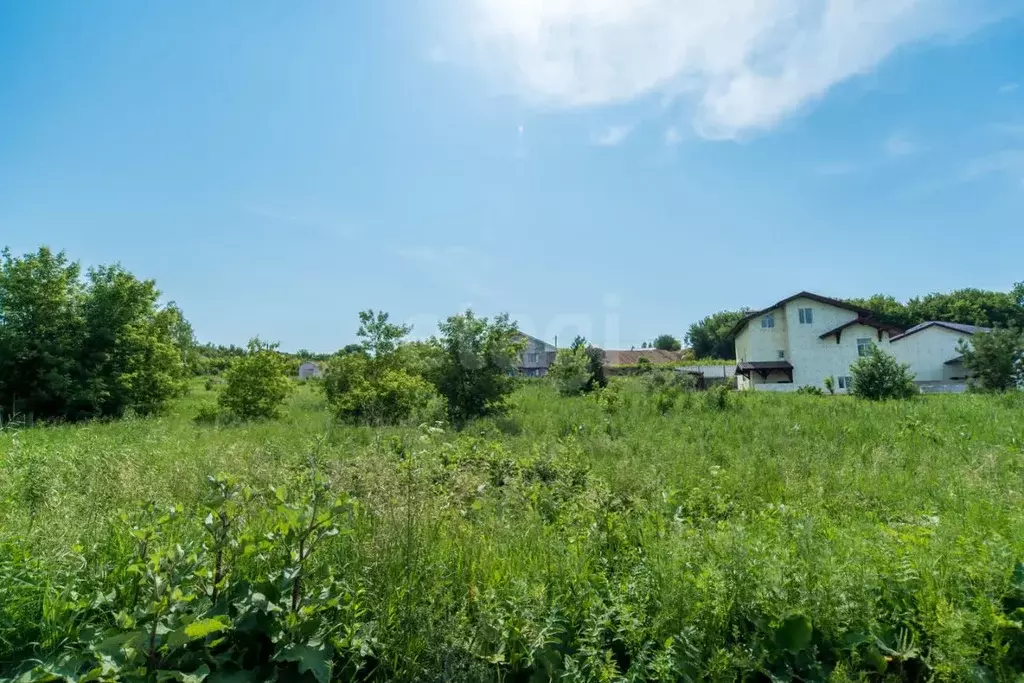 Участок в Алтайский край, Белокуриха ул. Крымская, 17 (10.95 сот.) - Фото 1