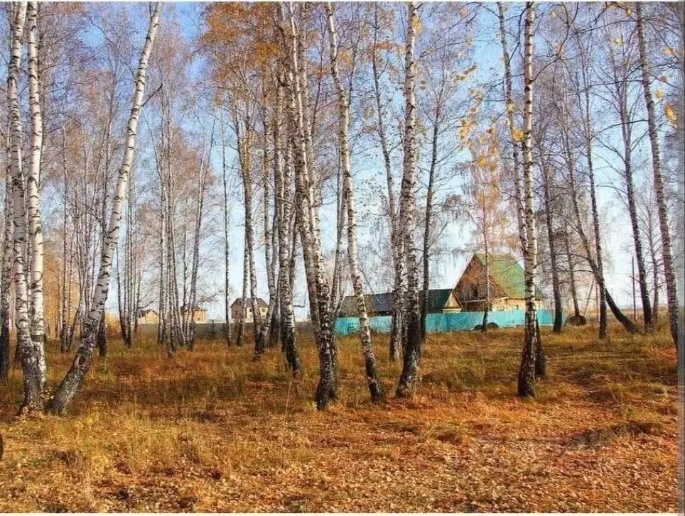 Участок в Тюменская область, Тюменский муниципальный округ, д. ... - Фото 1