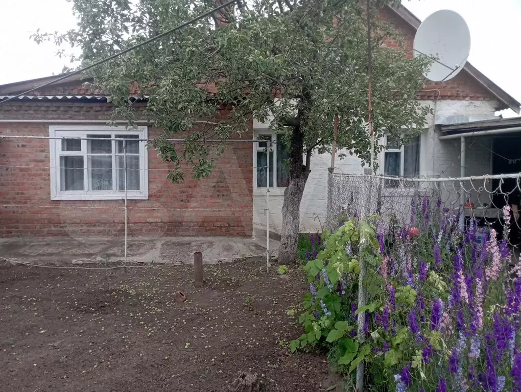 Дом 38,8 м на участке 4 сот. - Фото 0