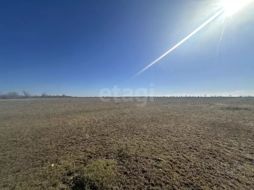 Участок в Крым, Сакский район, Штормовское с/пос, с. Хуторок  (879.54 ... - Фото 1