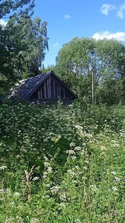 Участок в Брянская область, Жуковский муниципальный округ, с. Овстуг  ... - Фото 1