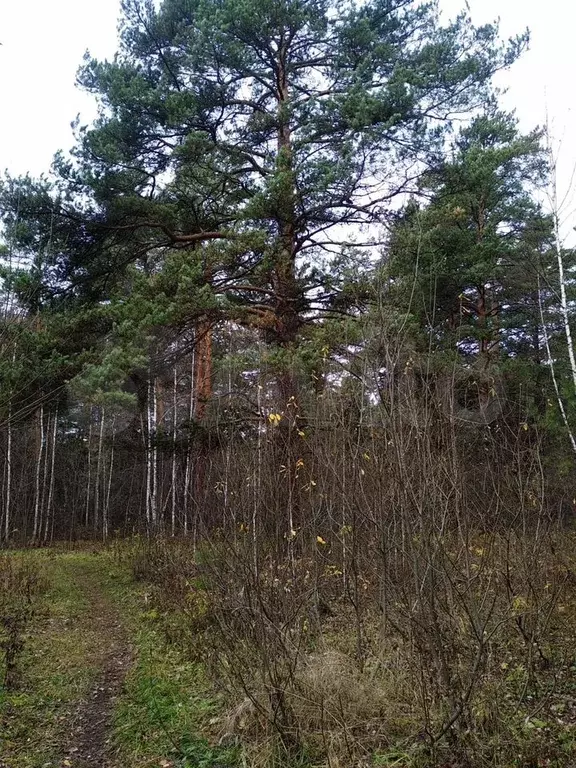 Участок 9 сот. (ИЖС) - Фото 0