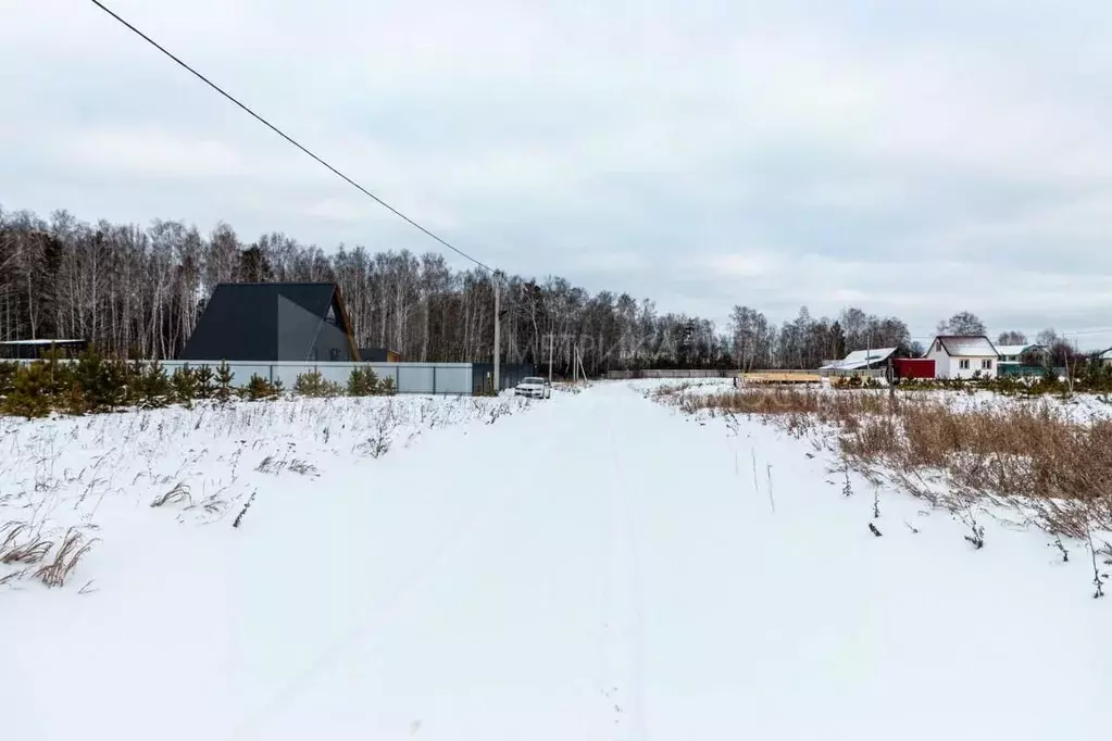 Участок в Тюменская область, Тюменский район, с. Кулига  (12.34 сот.) - Фото 0
