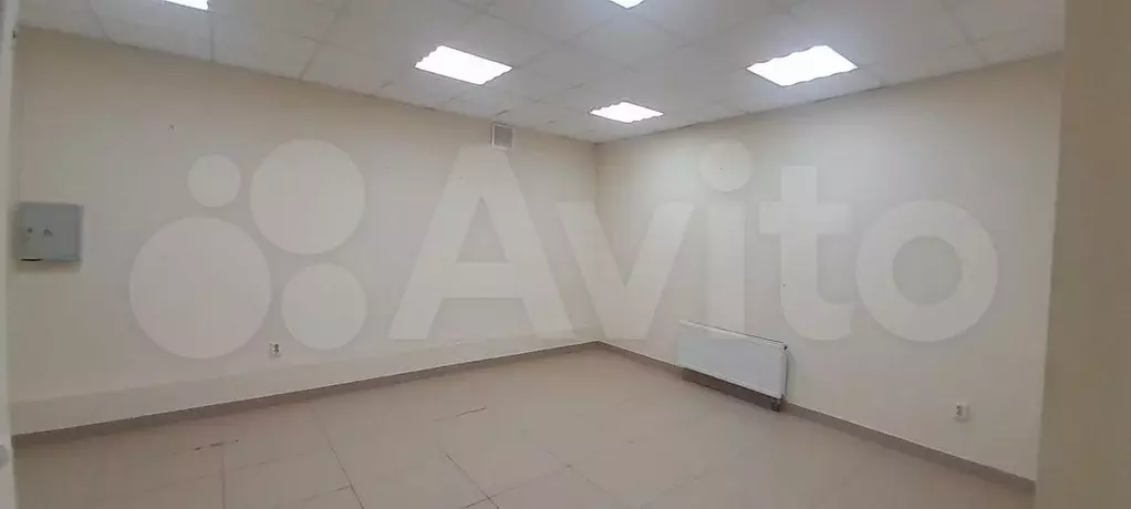 Свободного назначения, 56.1 м - Фото 1