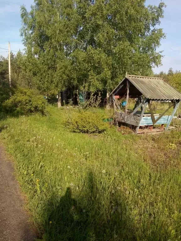 Участок в Воронежская область, Воронеж Большая Семья СНТ,  (18.4 сот.) - Фото 0