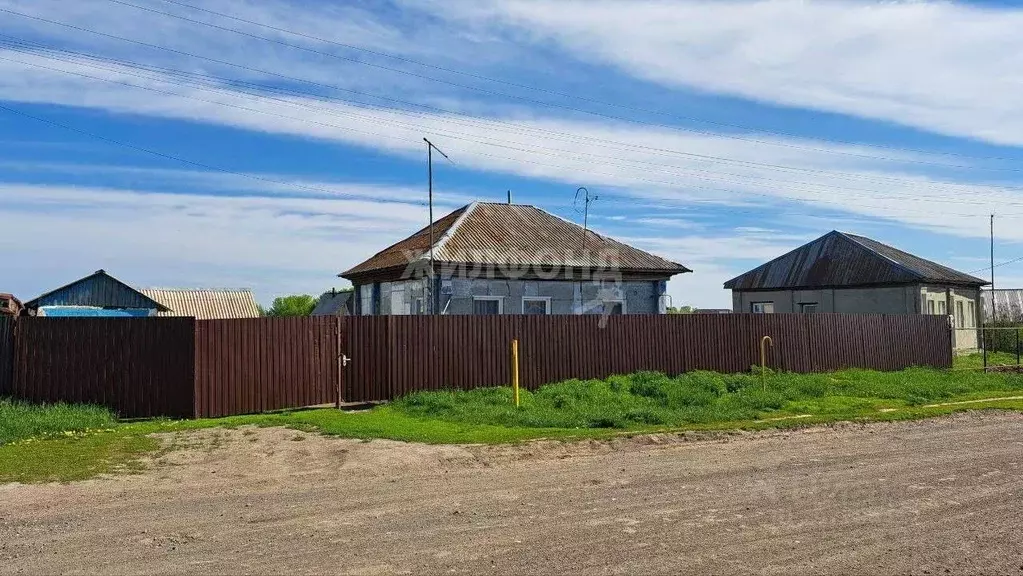 Дом в Алтайский край, Павловский район, с. Шахи ул. Загайнова (31 м) - Фото 1