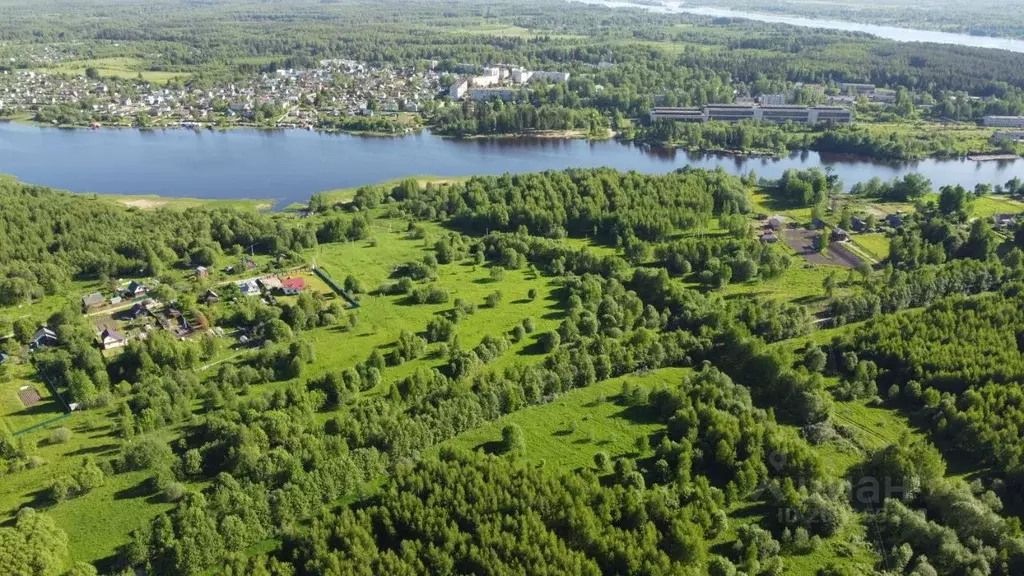 Участок в Тверская область, Кимрский муниципальный округ, д. Шепелиха  ... - Фото 1