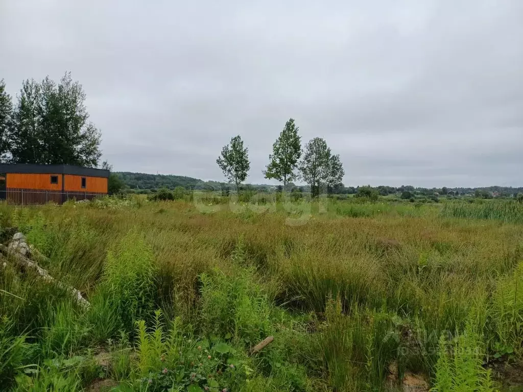Участок в Псковская область, Псковский район, Тямшанская волость, д. ... - Фото 2