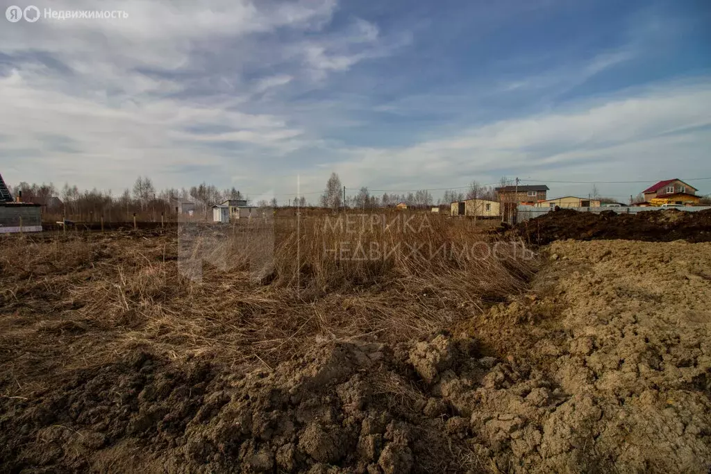Участок в Тюмень, садовое товарищество Царево (10.45 м) - Фото 2
