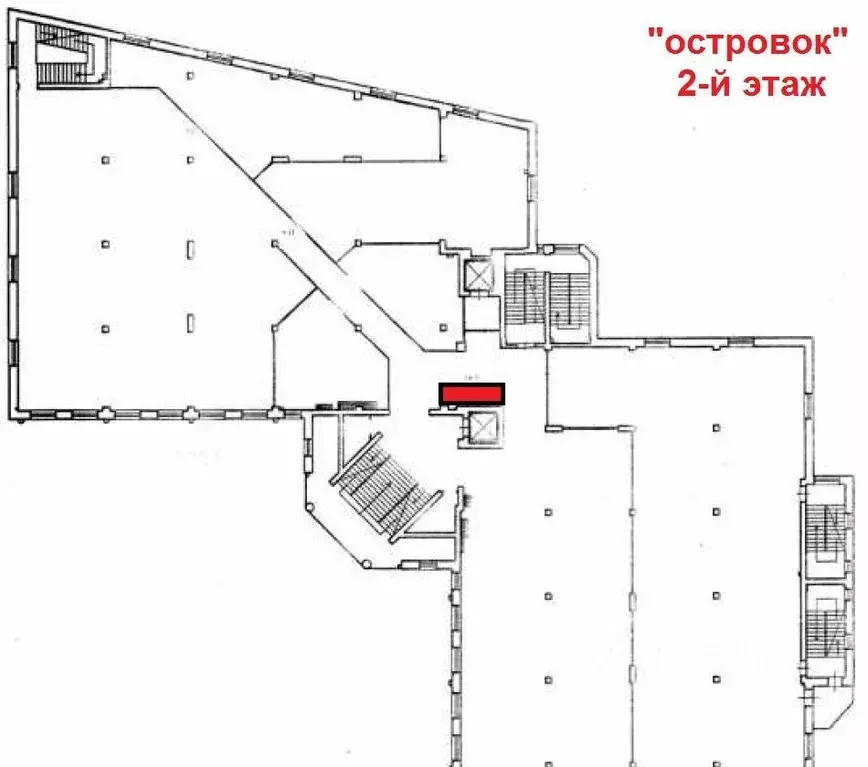Торговая площадь в Архангельская область, Архангельск ул. Гайдара, 55 ... - Фото 0
