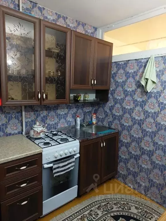 1-к кв. Дагестан, Кизилюрт ул. Гамзата Цадаса, 63 (35.0 м) - Фото 1