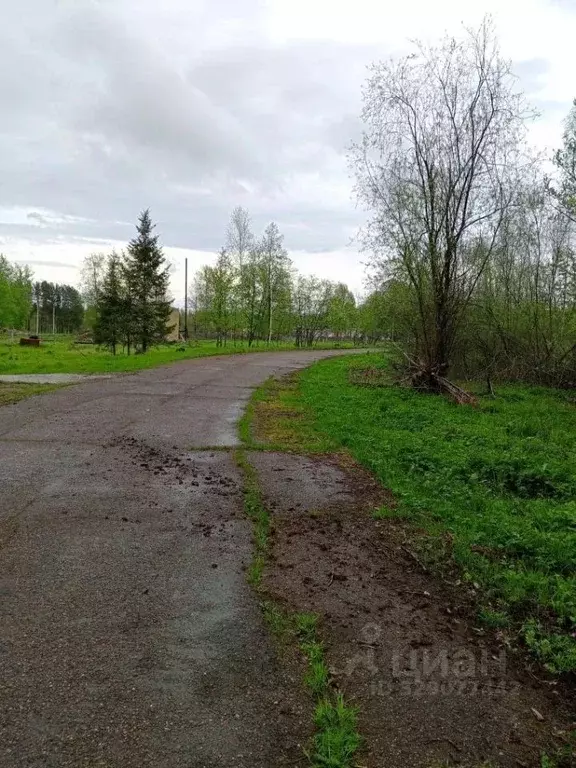 Участок в Пермский край, Пермский муниципальный округ, пос. Бырма  ... - Фото 2