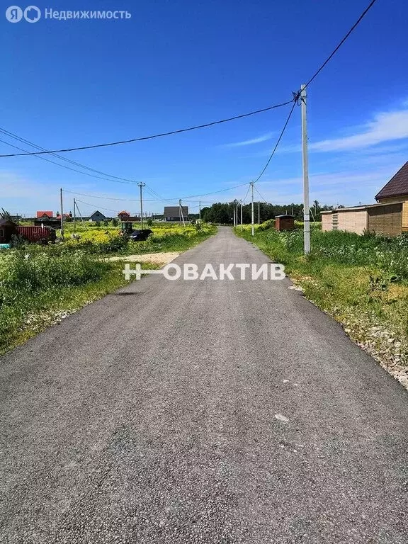 Участок в Новосибирская область, Коченёвский муниципальный район, село ... - Фото 1