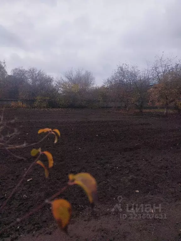 Участок в Волгоградская область, Среднеахтубинский район, Фрунзенское ... - Фото 2