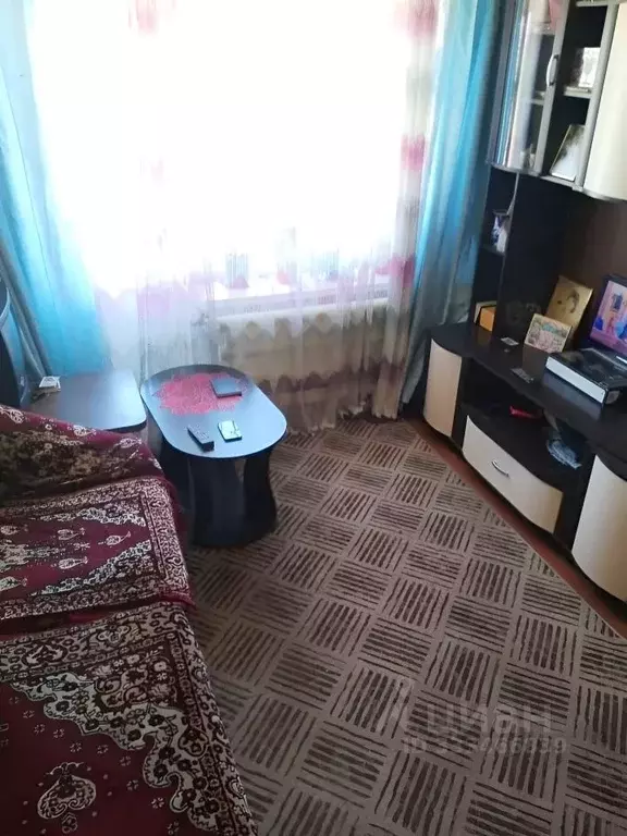 1-к кв. Новосибирская область, Искитим Центральная ул., 20 (22.0 м) - Фото 2