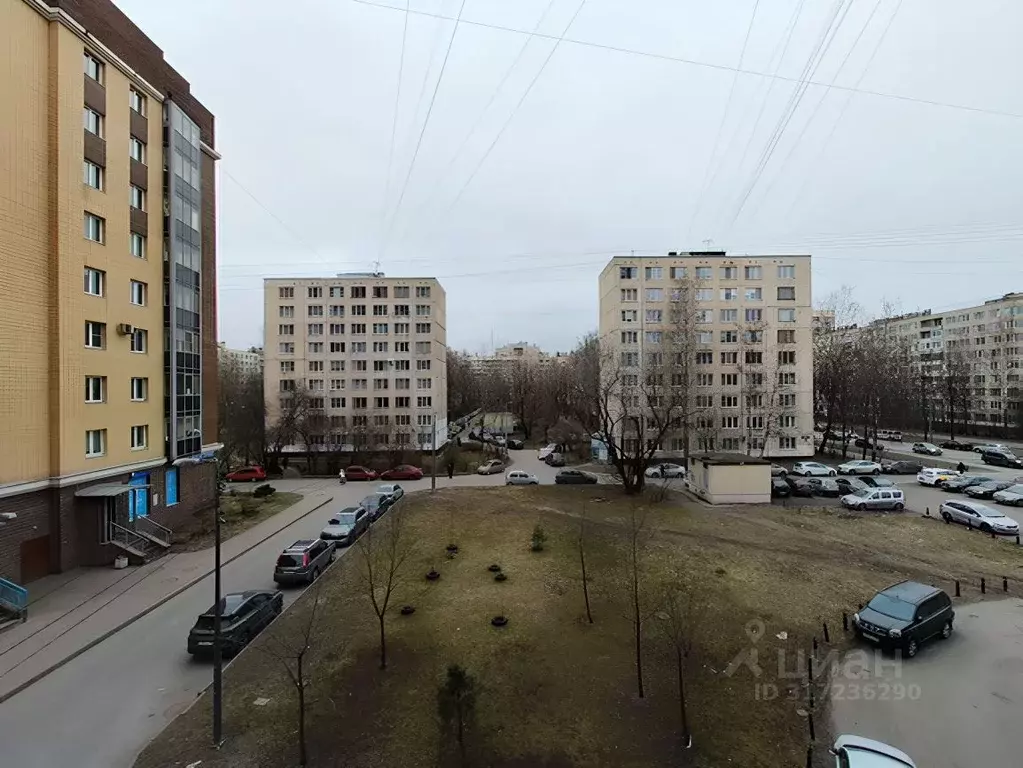 Комната Санкт-Петербург просп. Большевиков, 11/19 (11.7 м) - Фото 1